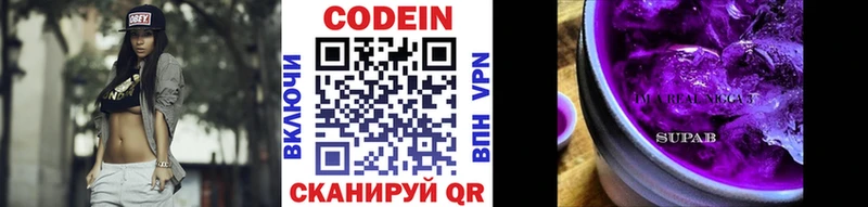 Купить закладки  Нестеров  Кодеиновый сироп Lean Purple Drank 