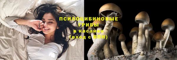твердый Бронницы