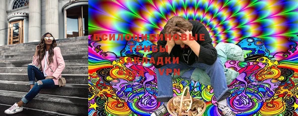твердый Бронницы