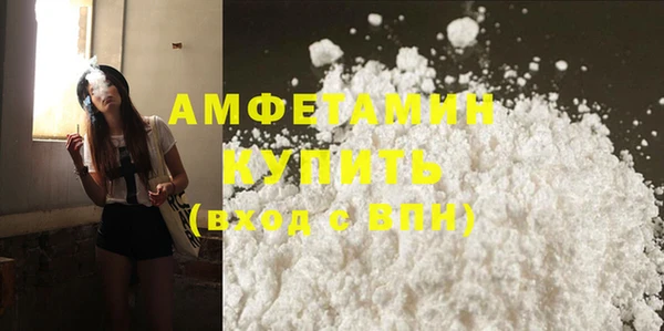 индика Богородицк