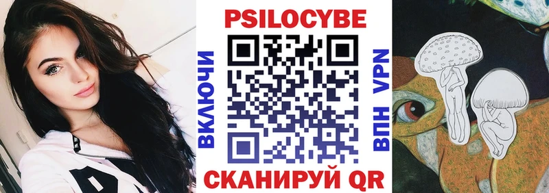 Купить закладки  Нестеров  Псилоцибиновые грибы мицелий 