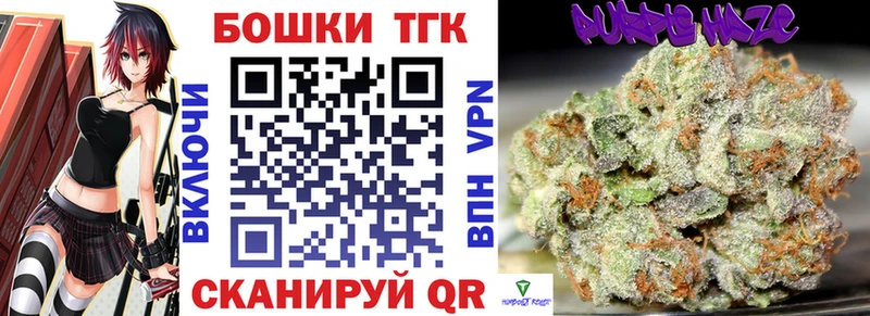 Купить где  Нестеров  Конопля сатива 